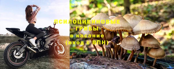 ПСИЛОЦИБИНОВЫЕ ГРИБЫ Михайловск