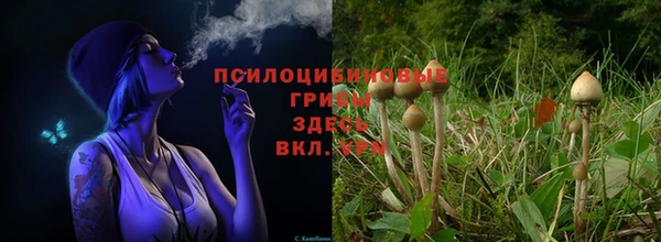 альфа пвп Михайловка