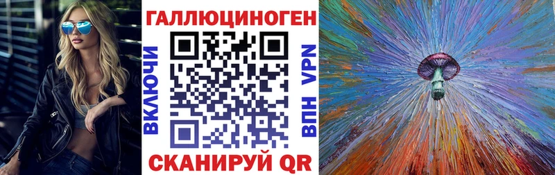 Псилоцибиновые грибы Psilocybine cubensis  Питкяранта 